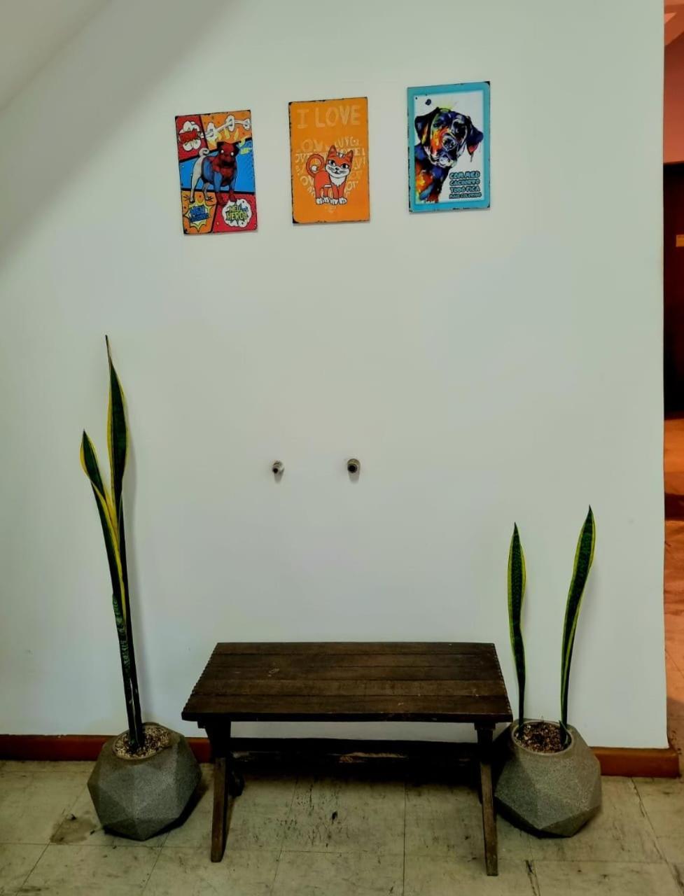 בלו הוריזונטה Cool Living Hostel - Praca Da Liberdade מראה חיצוני תמונה
